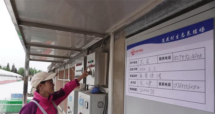 揭秘肉鸡养殖业的违法行为（保护消费者权益，从源头杜绝不合法的肉鸡养殖）