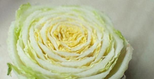 U盘小白菜系统教程（一步一步教你使用U盘小白菜系统，开启全新体验）