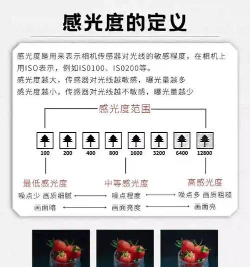 探索单反相机的拍照技巧（提升你的摄影技能，尽在单反相机）