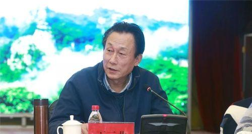 斑马传媒（深度分析斑马传媒的发展与优势）