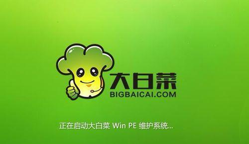 教你如何将U盘装进大白菜（大白菜U盘装置的制作方法及步骤）