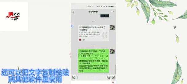 如何快速从图片中提取文字？（轻松识别图片中的文字，效率倍增！）