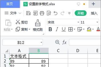 通过单元格设置文本格式，打造个性化主题（让Excel表格展现独特魅力的关键技巧）