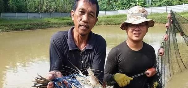 疯卖酷品，引领时尚潮流（探索独特个性，畅享创意生活）
