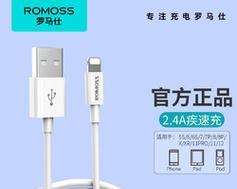 罗马仕数据线的性能与质量评测（为什么罗马仕数据线备受赞誉？）