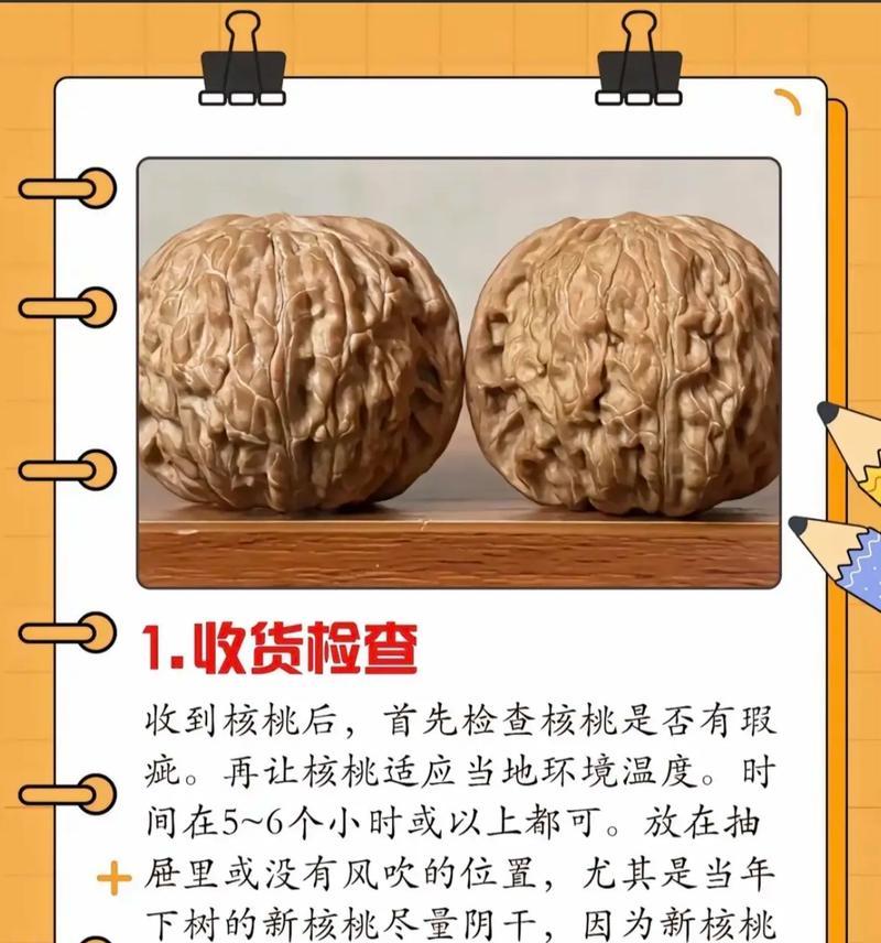 老毛桃制作系统盘教程（教你轻松打造个性化系统盘，让电脑更稳定更高效）