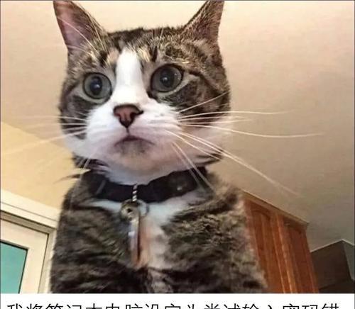 电脑改密码显示发生了错误，如何解决？（解决电脑改密码错误的有效方法）