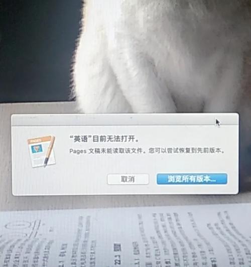 电脑错误码的解决之道（排查常见错误码，提供解决方案）